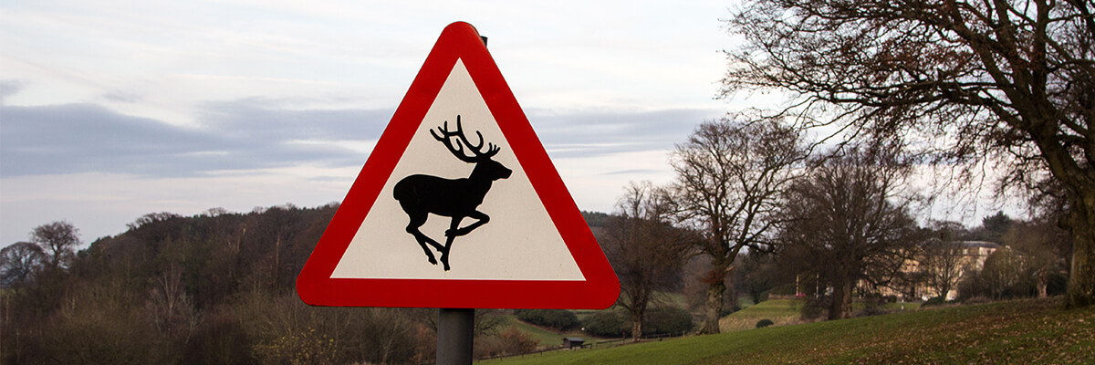 deer road sign